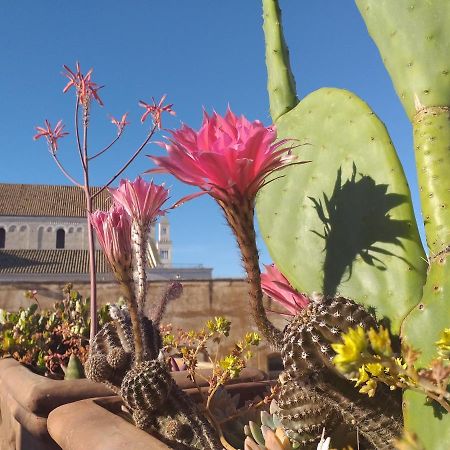 Bed and Breakfast Il Soppalco Bari Exterior foto